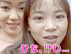 ひな、けい、めい、セリカ