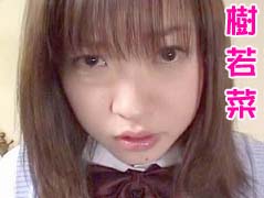 樹若菜　