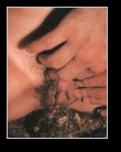 [Click to enlarge]