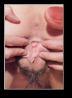 [Click to enlarge]