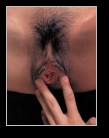 [Click to enlarge]